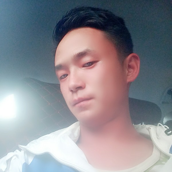 小猫咪浅吻和谐的照片