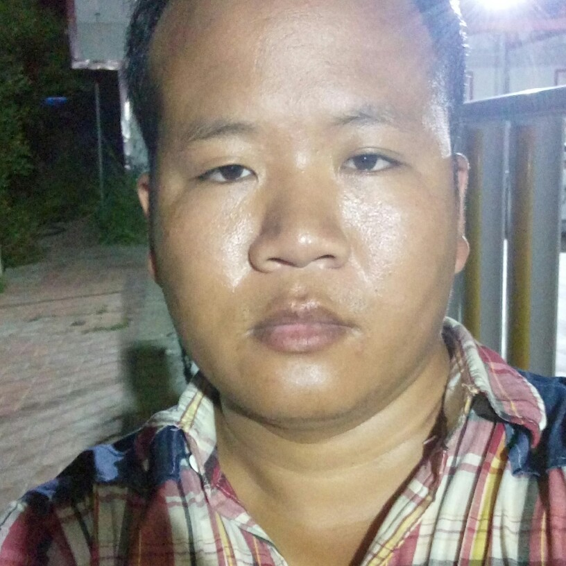 寂灭蹁跹树叶的照片