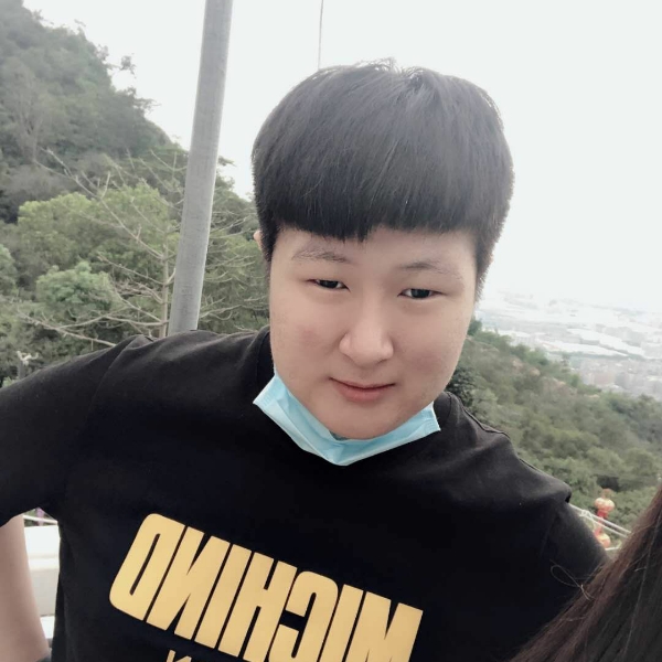 木、木的照片