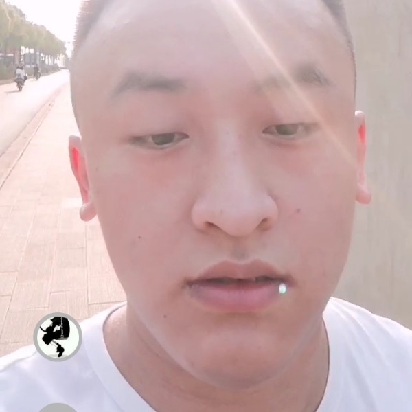 爱不可重来的照片