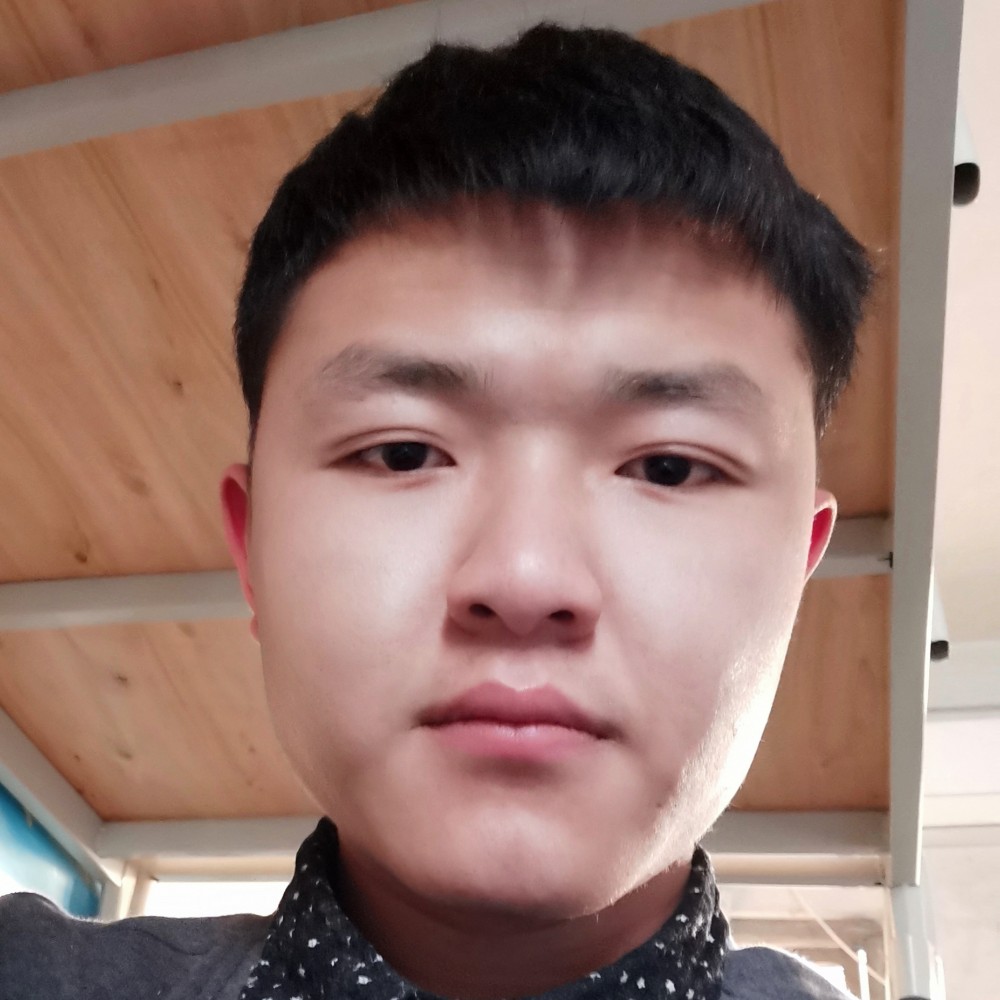 发夹勤奋的照片
