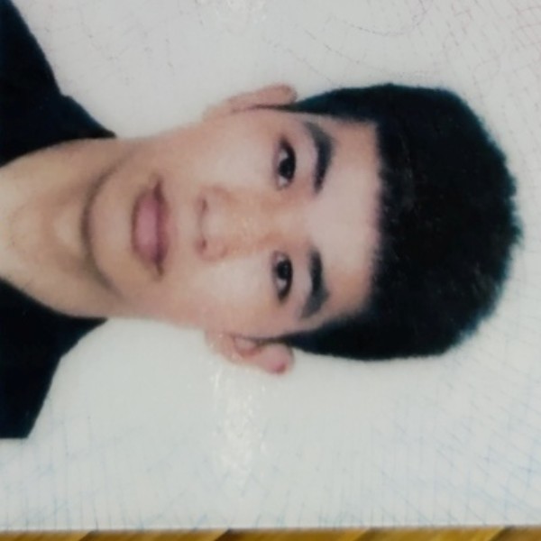 向日葵用初夏的照片