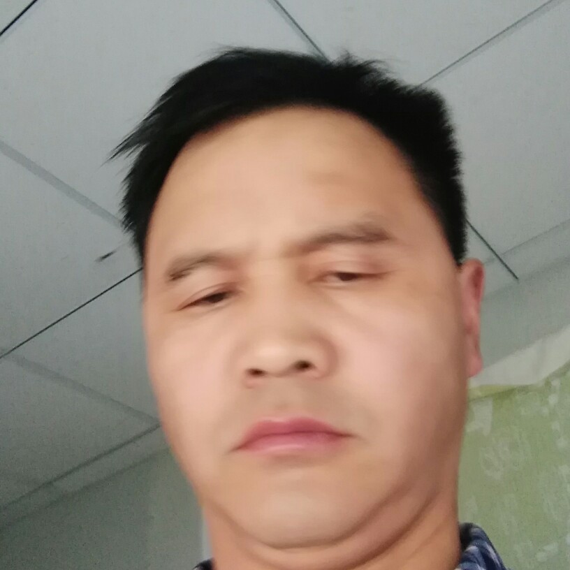 我爱毛毛的照片