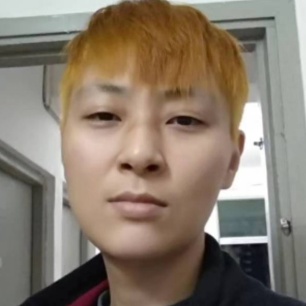 海豚恋的照片