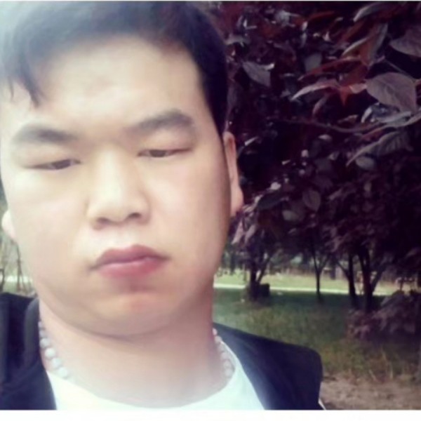 浪漫的蔷薇结的照片
