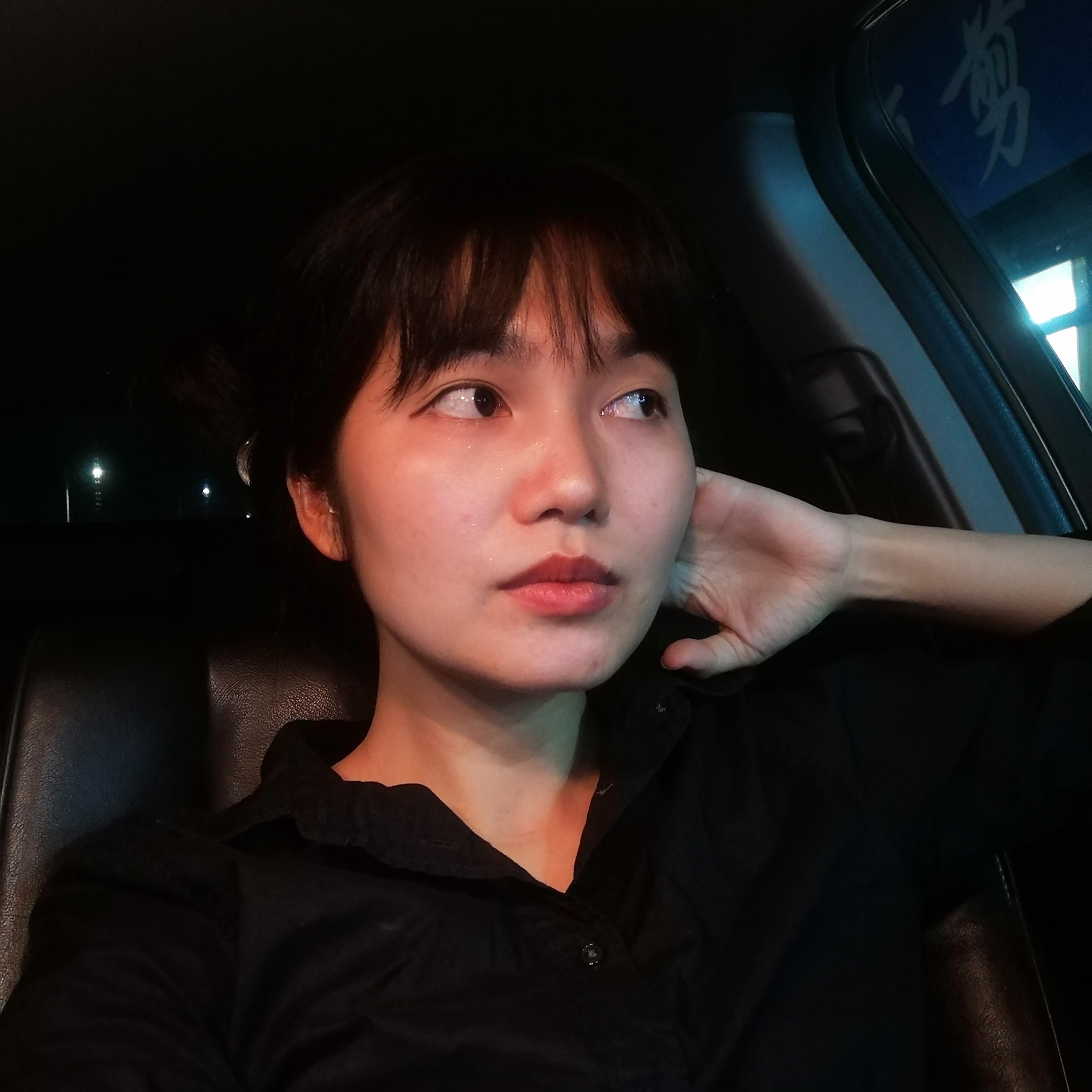 发夹漂亮的照片