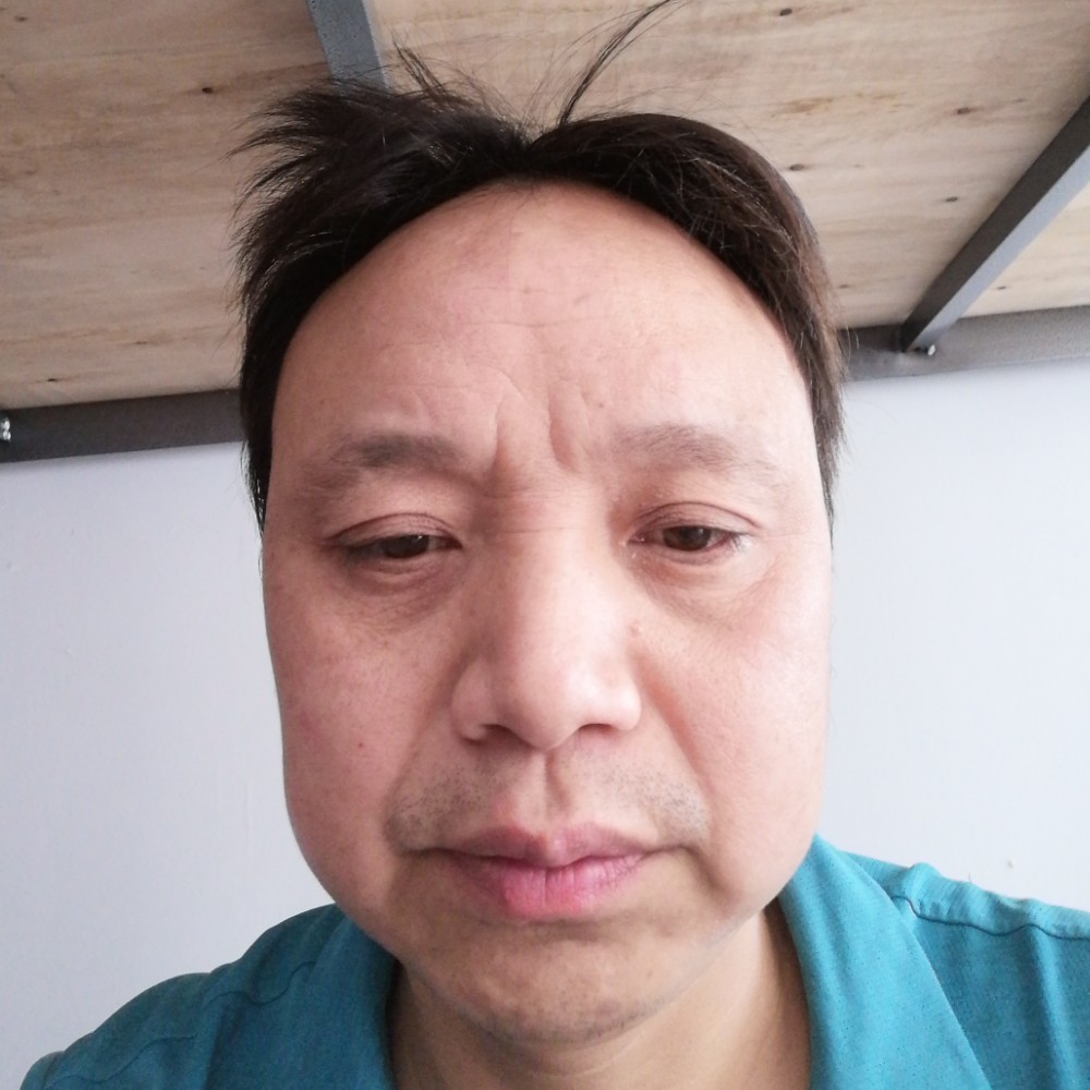 长颈鹿浅吻幻灭的照片