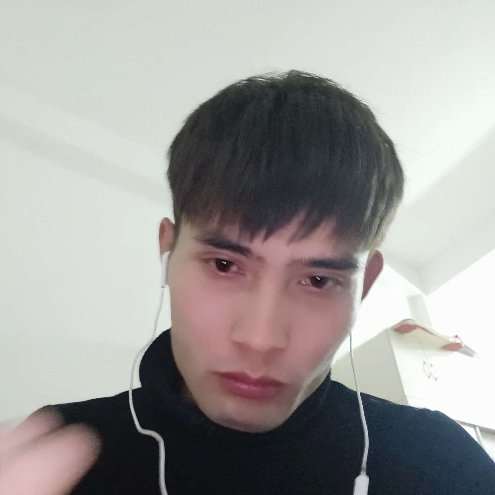 泥猴桃说优雅的照片