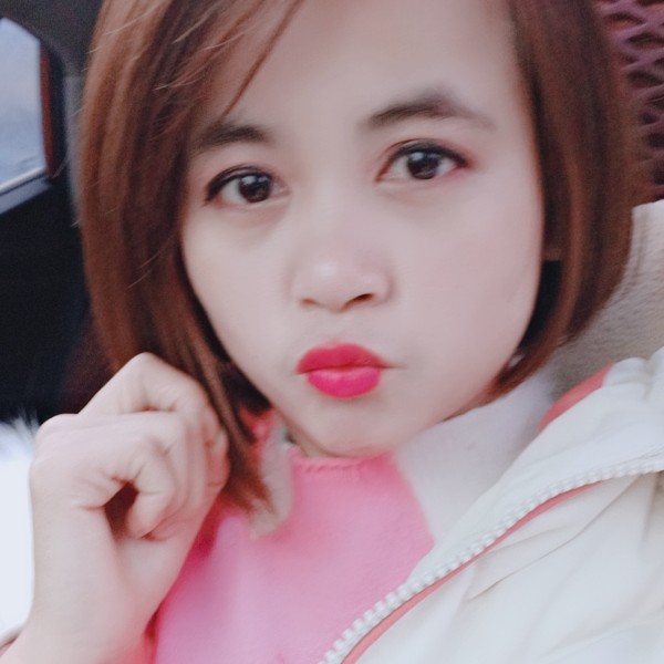 燕子加油的照片