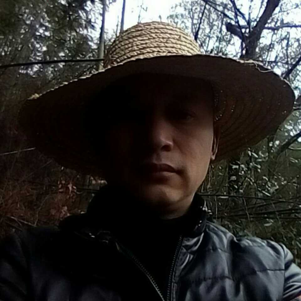 寻找相依人……的照片