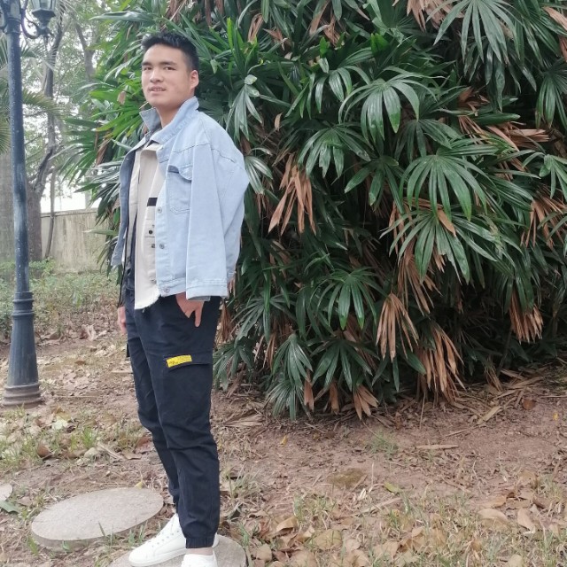 小蜜蜂浅吻潇洒的照片