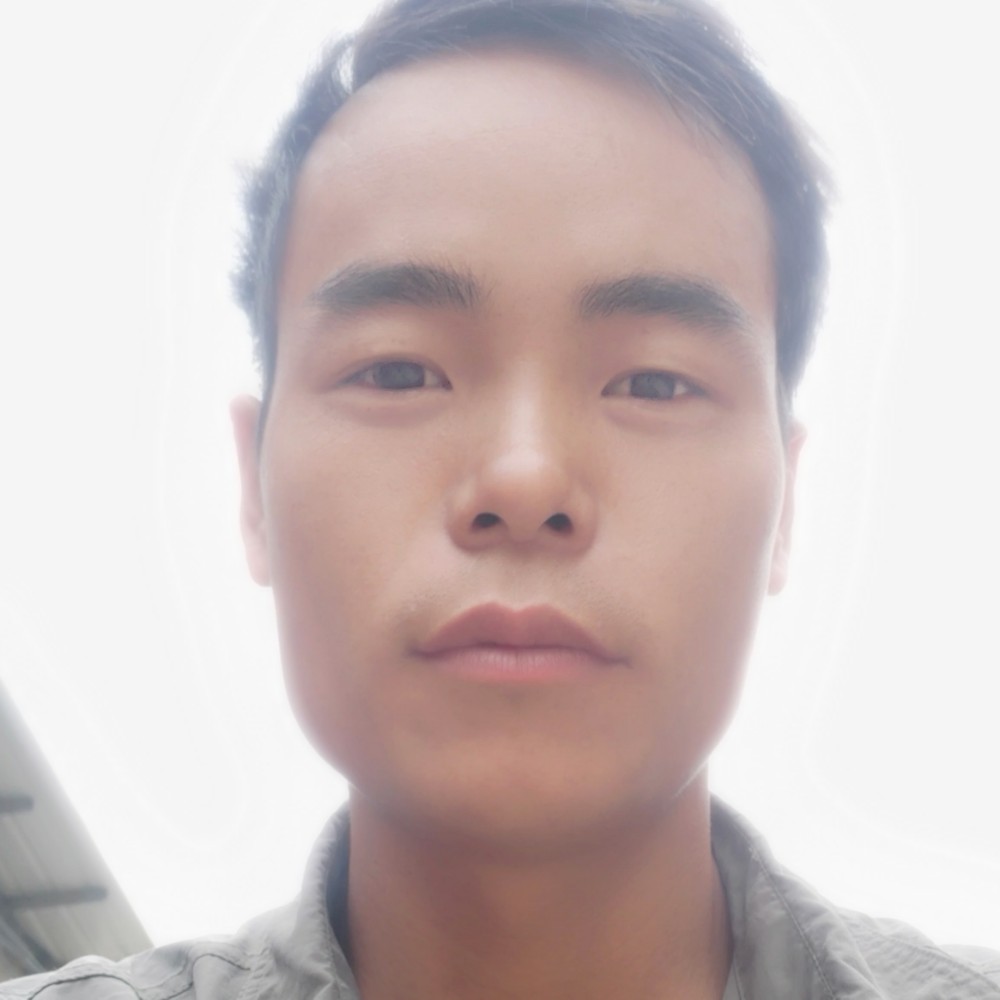 踏云归来的照片