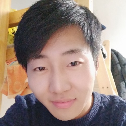 狂奔的鱼儿的照片