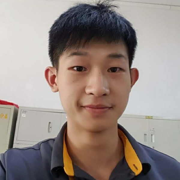 你请小树林的照片