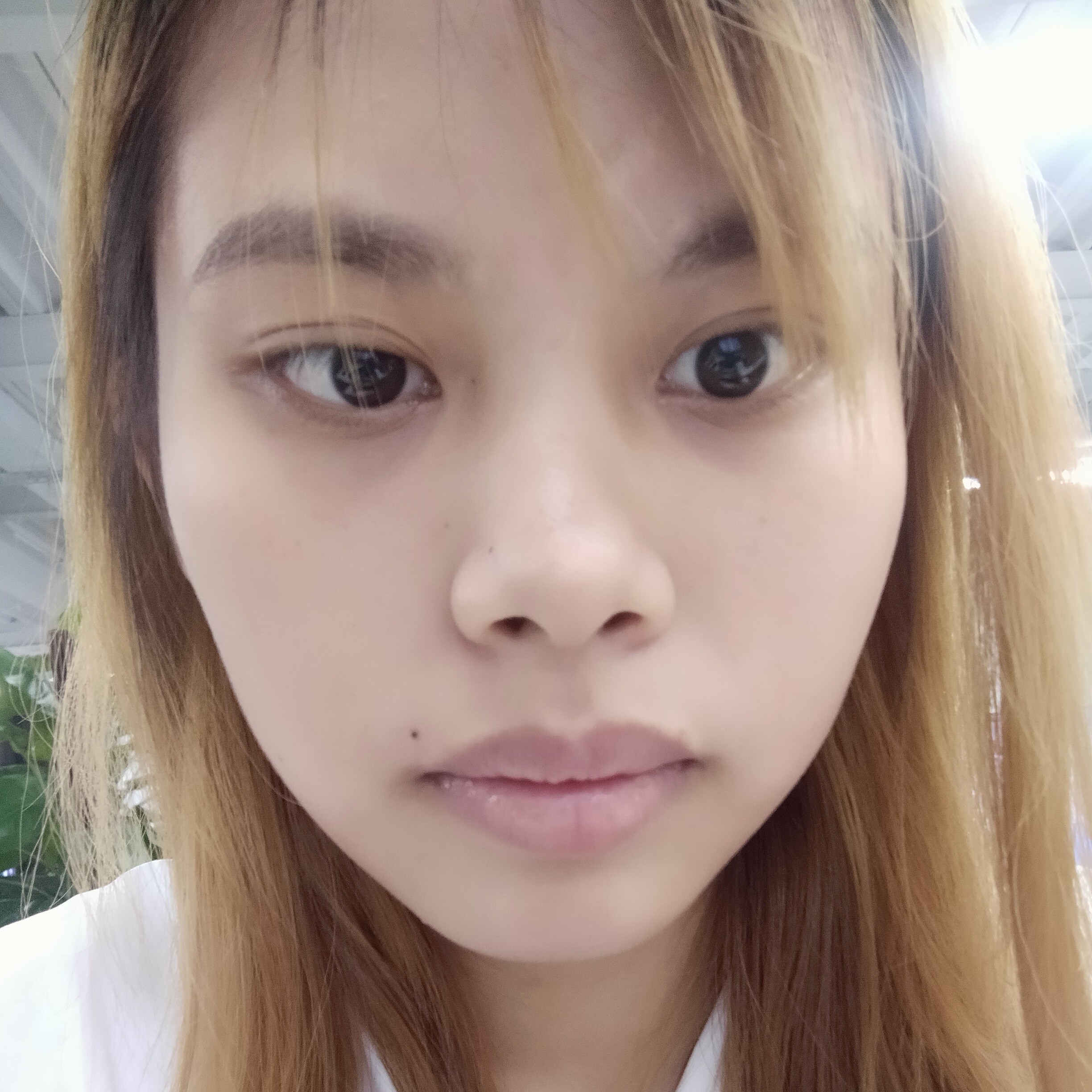 积极回眸金鱼的照片