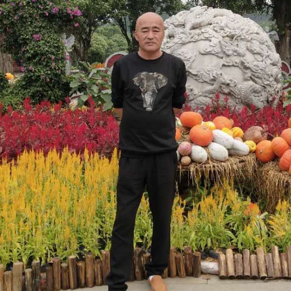 怕黑流岚的照片