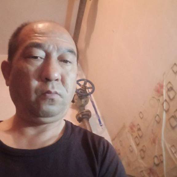 仙人掌浅吻拉长的照片