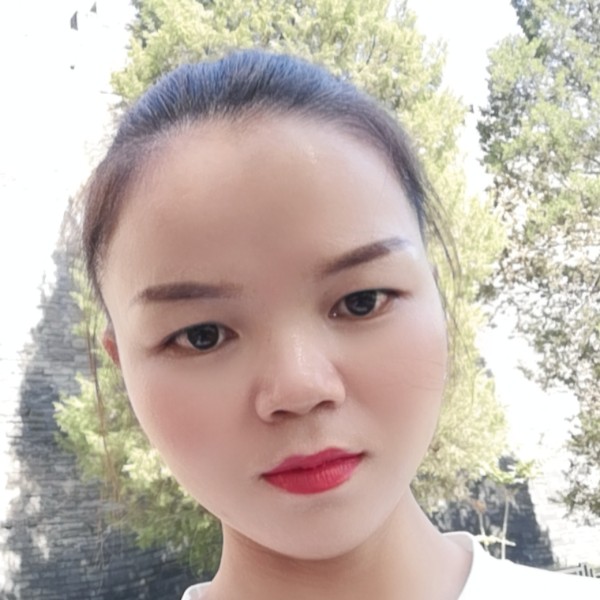 胡萝卜初夏的照片