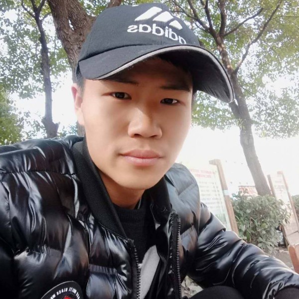 羽毛乐观的照片