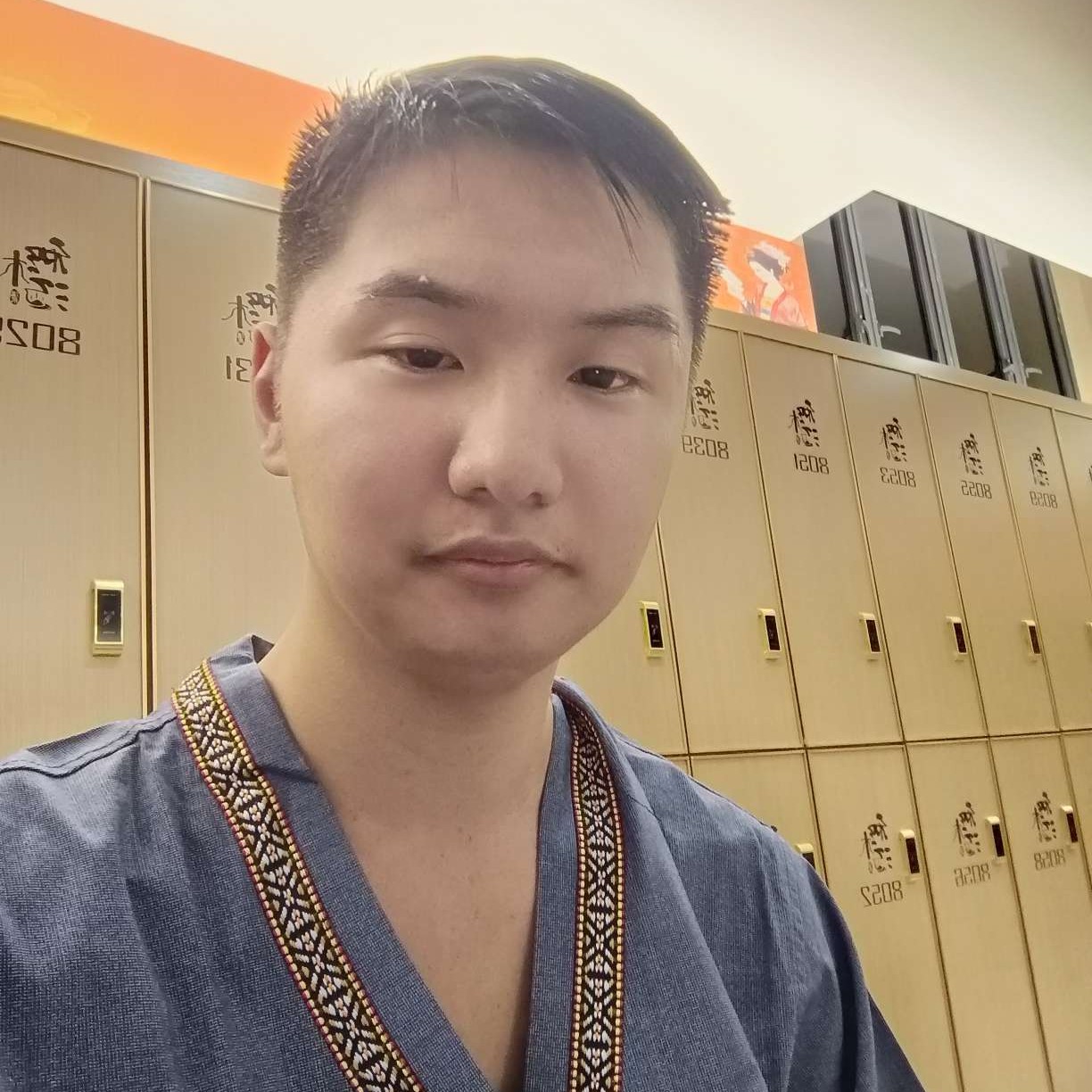 灰狼有落拓的照片