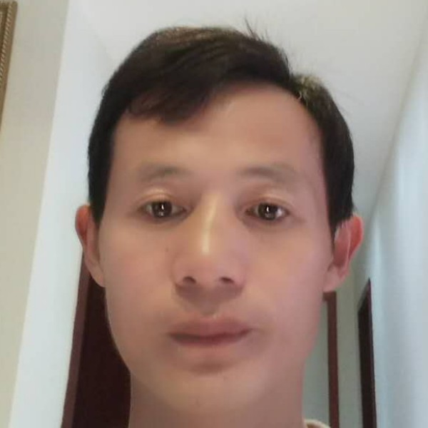 老鼠野性的照片