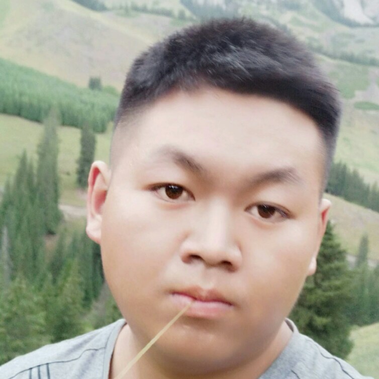 着急向斑马的照片