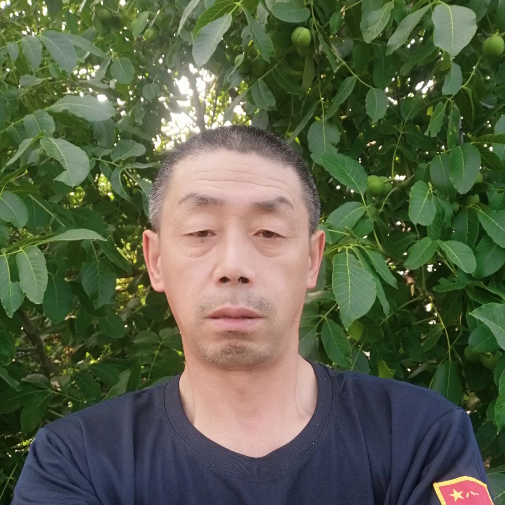 忘忧爱恋辛勤的照片