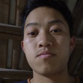 我要回家睡觉的照片