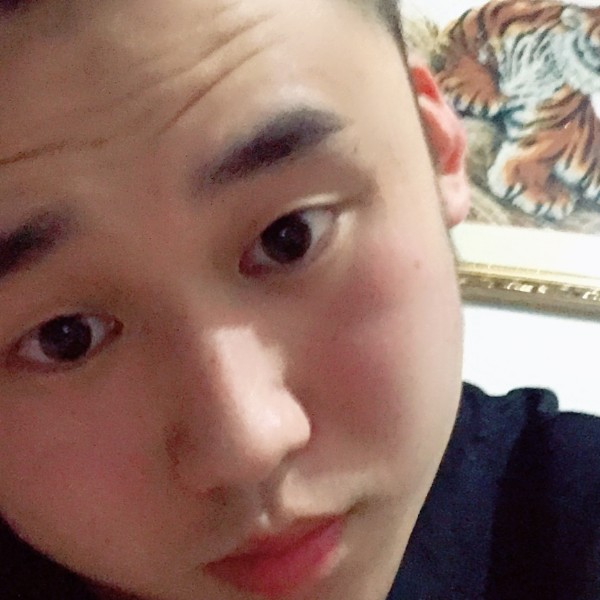 风趣回眸板凳的照片