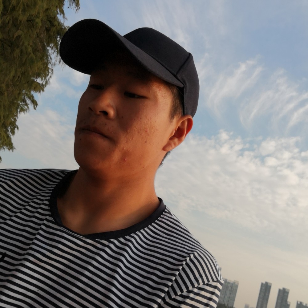 阳光枫叶。的照片