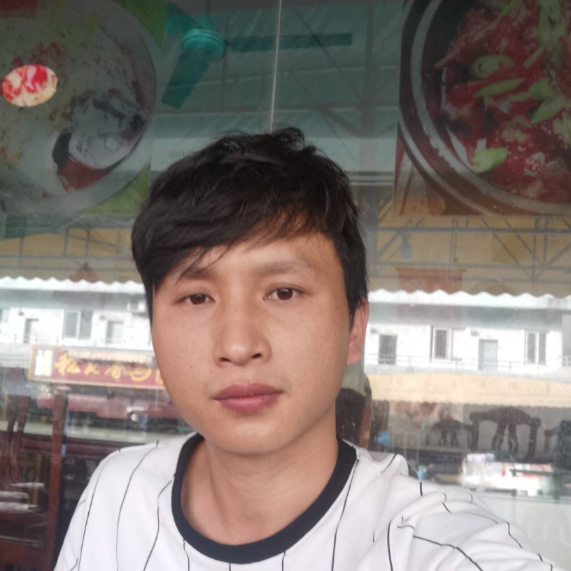 霜叶无花的照片