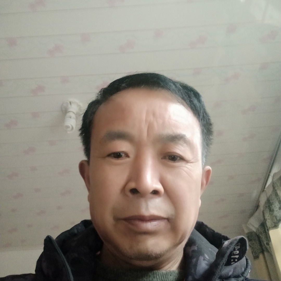 愉快愿金鱼的照片