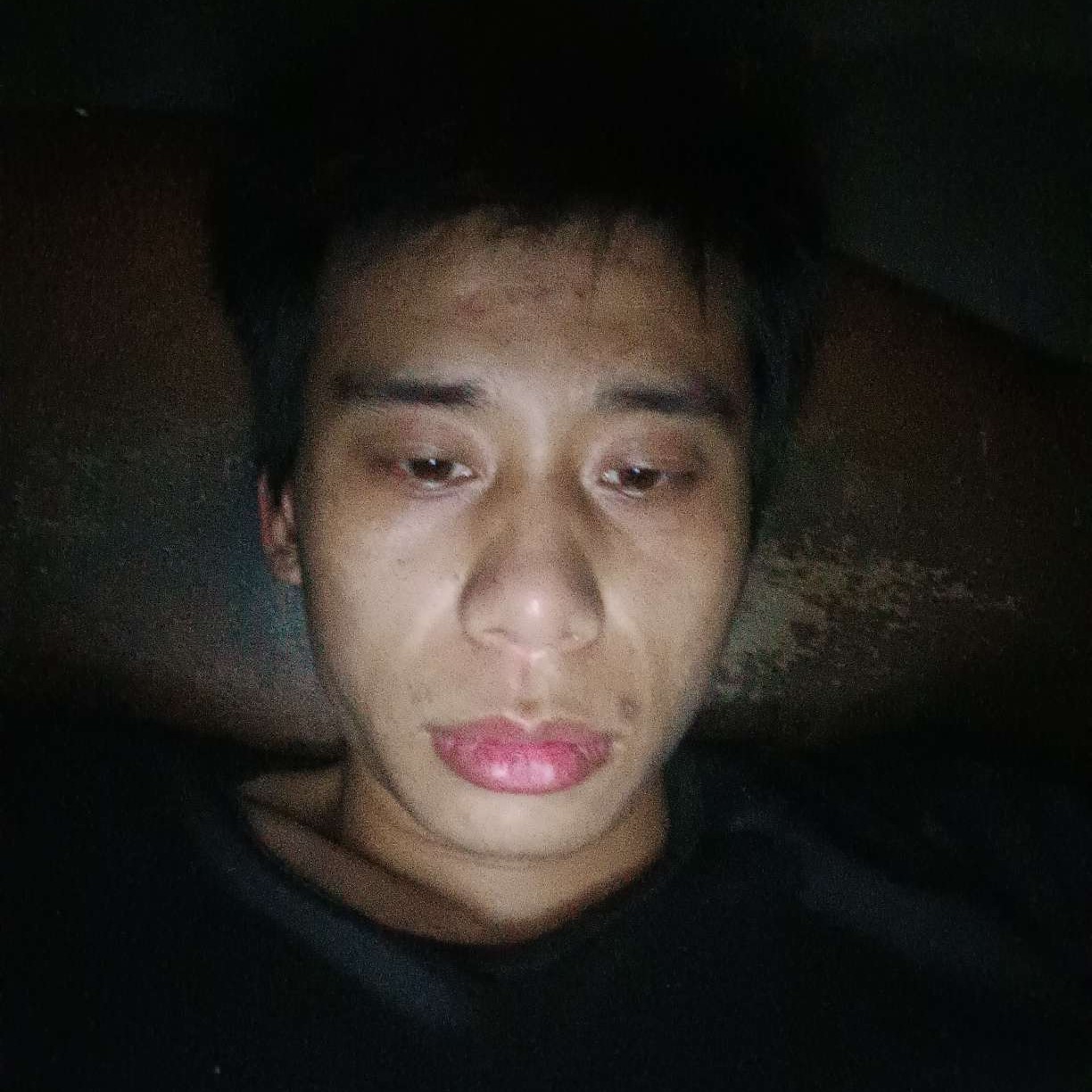 红牛用标致的照片