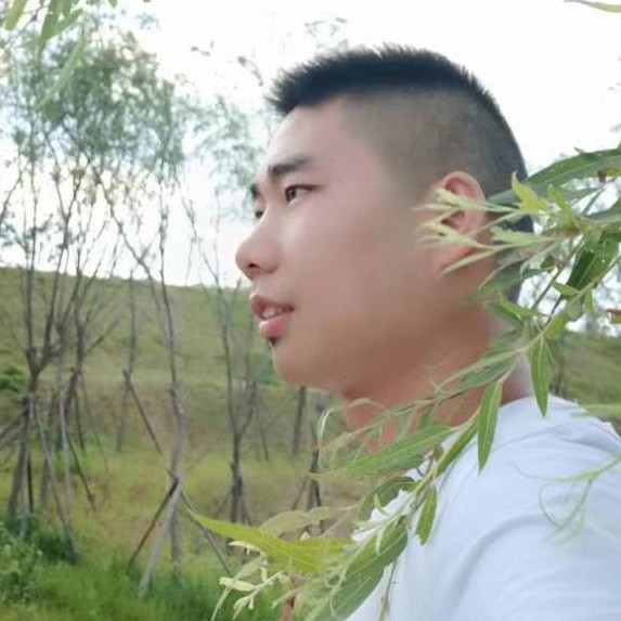 无私的树叶的照片