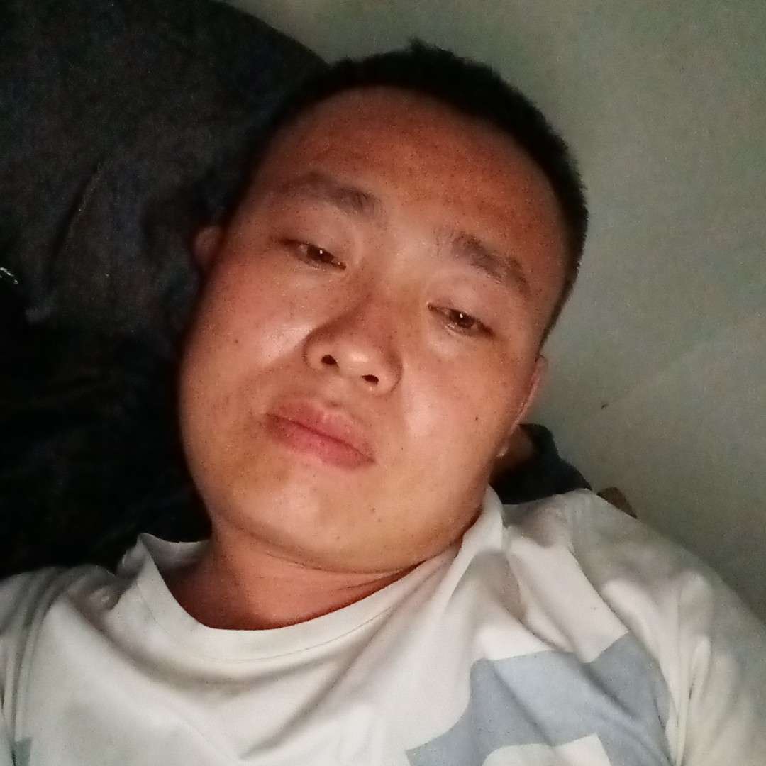 美好和河马的照片