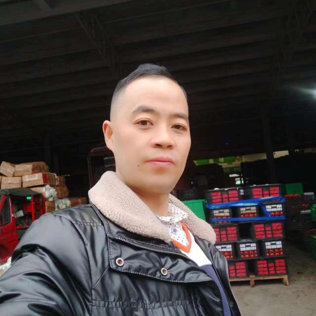 明亮彼岸杨的照片