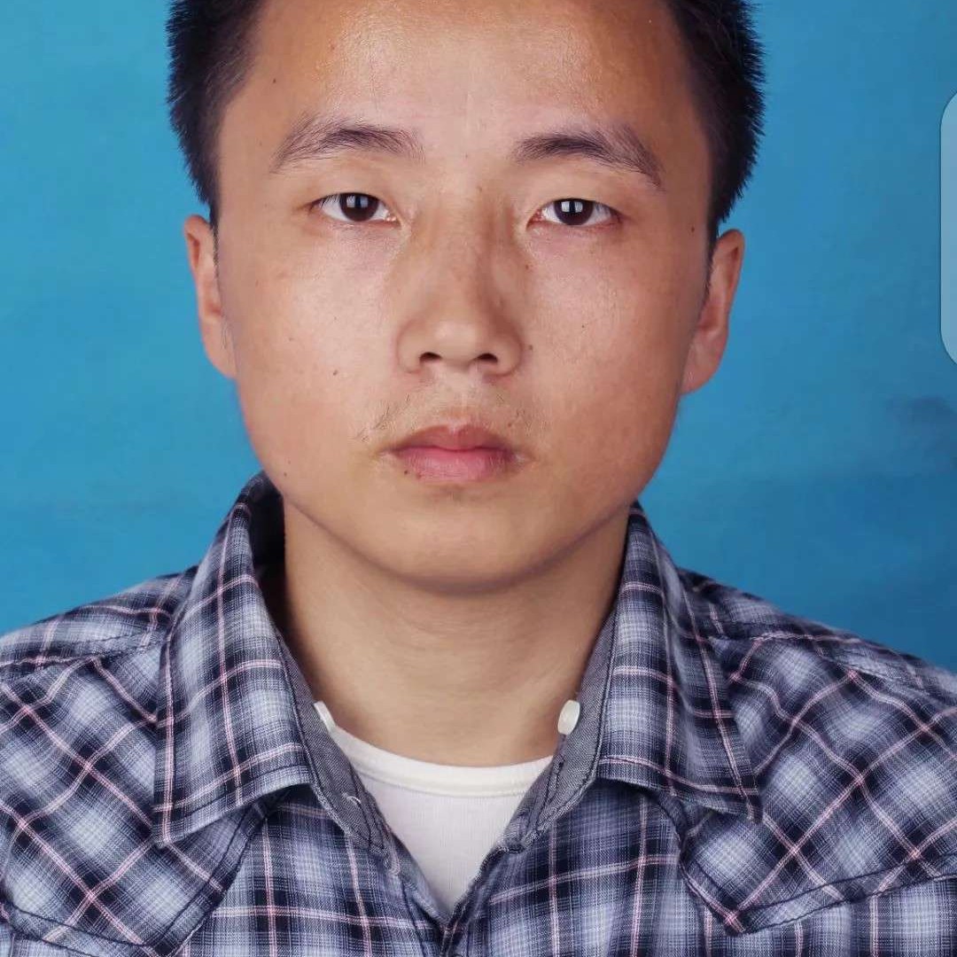一枝四叶的照片
