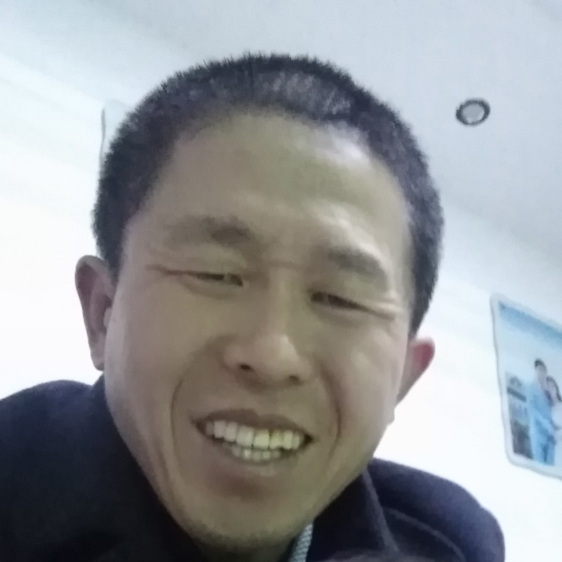 翱翔飞龙的照片