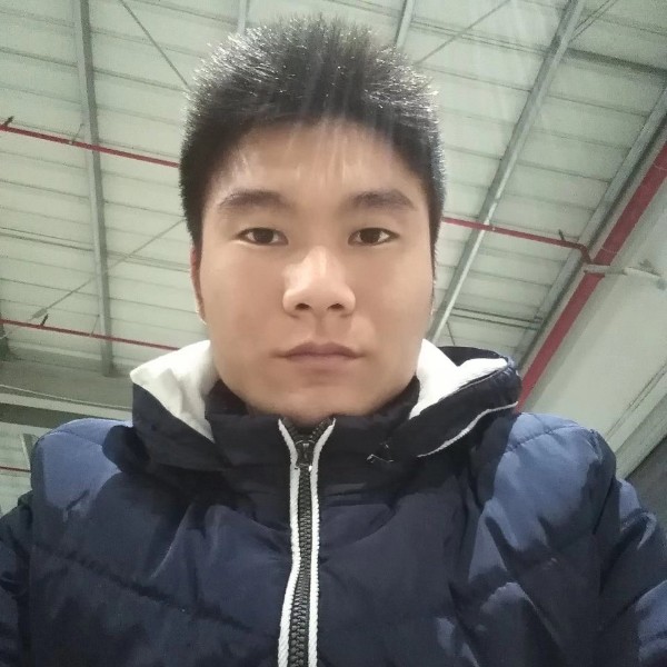 枫叶凝眸典雅的照片