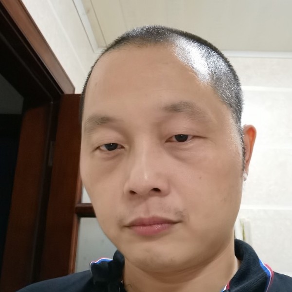 老虎拾忆落寂的照片