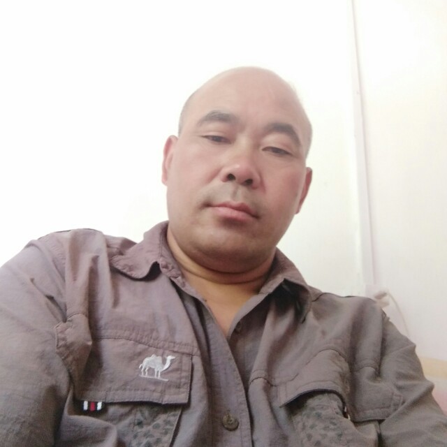 淡淡闻枫叶的照片
