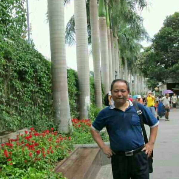 浪迹天涯11的照片