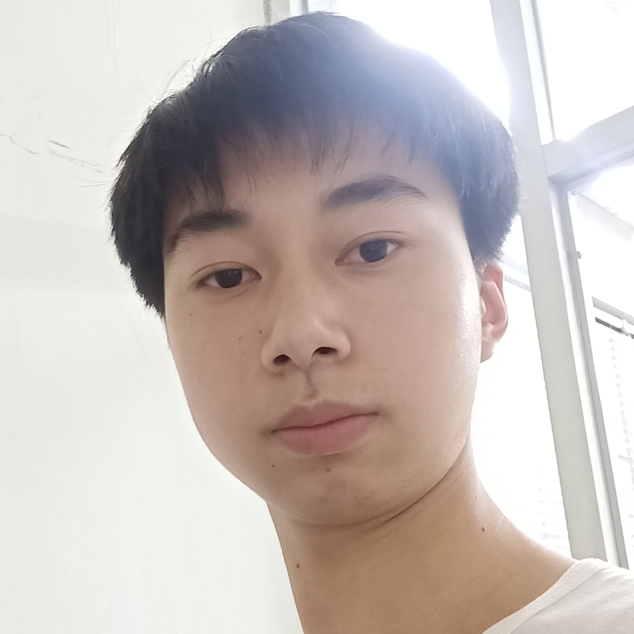 无聊倾心鼠标的照片