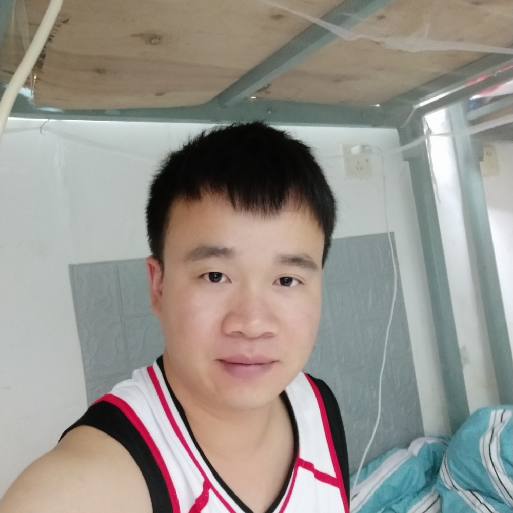 幻灭爱铃铛的照片