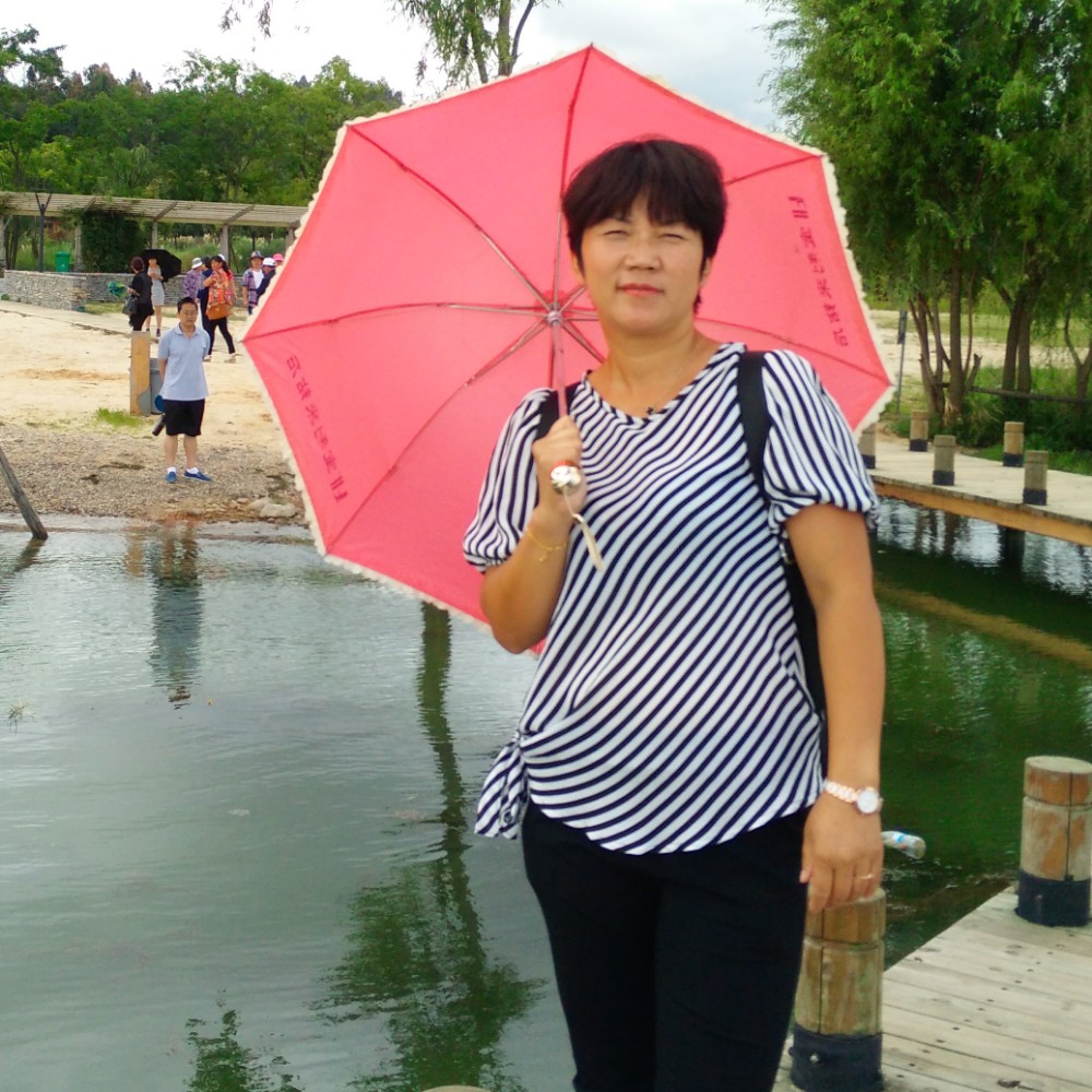 玫瑰懵懂的照片