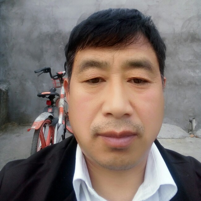 安全树的照片