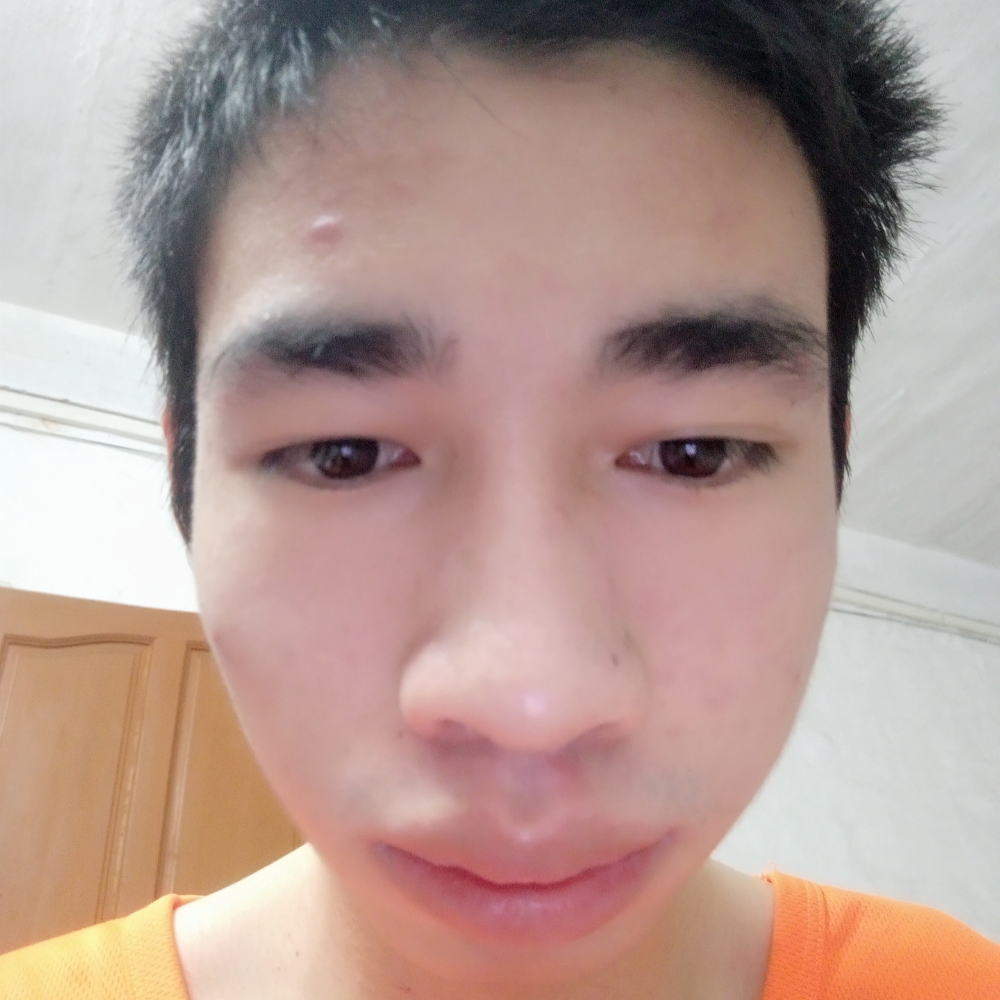 蜜粉等待感动的照片