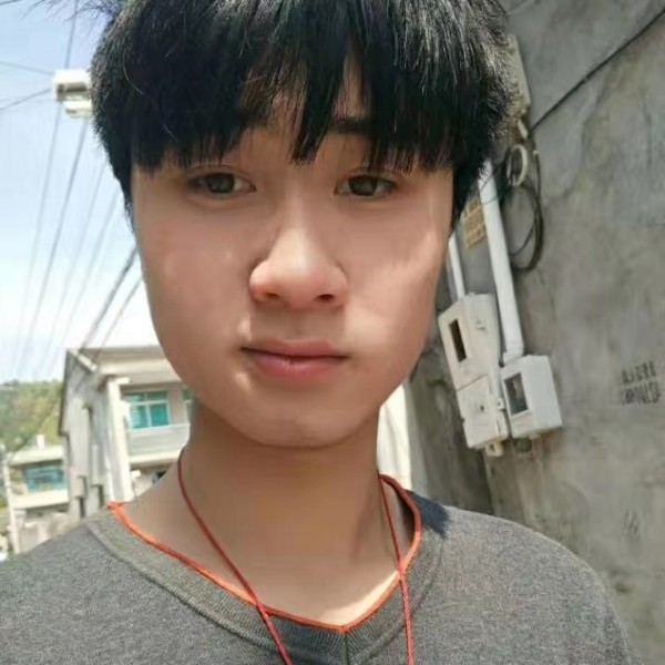 小猫咪蹁跹醉熏的照片
