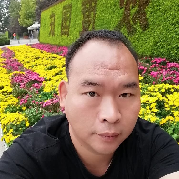黯然还小鸽子的照片