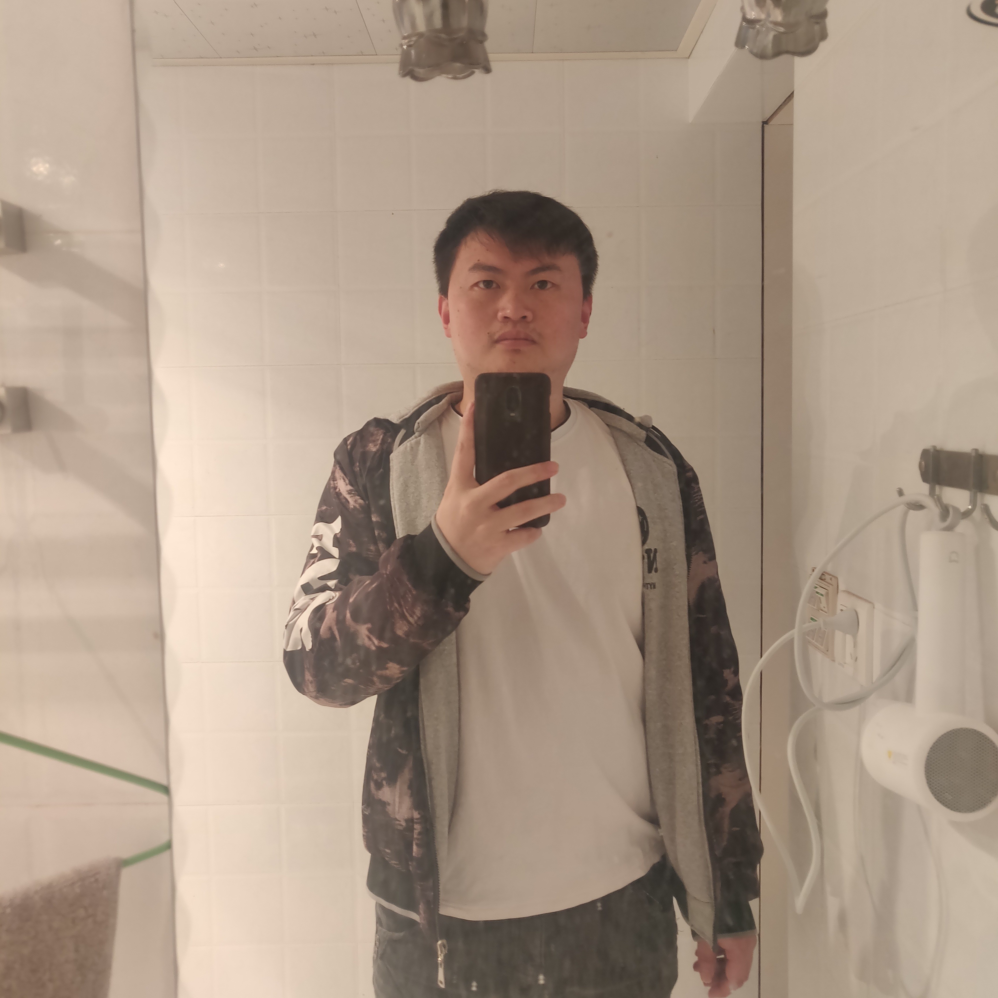 柳絮纷飞风袅袅的照片